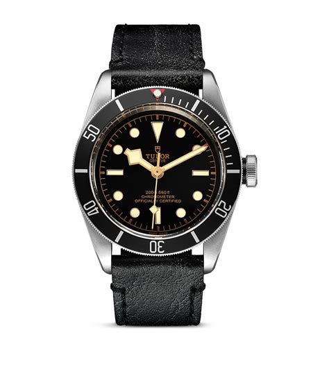 tudor cartamodello|tudor watches uk.